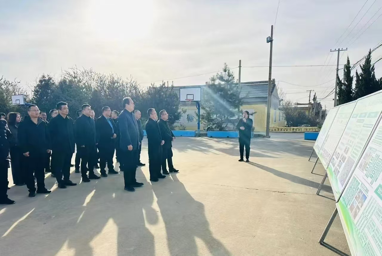 20241219090102248-28-7874b.jpg 20241219090102248-28-7874b.jpg