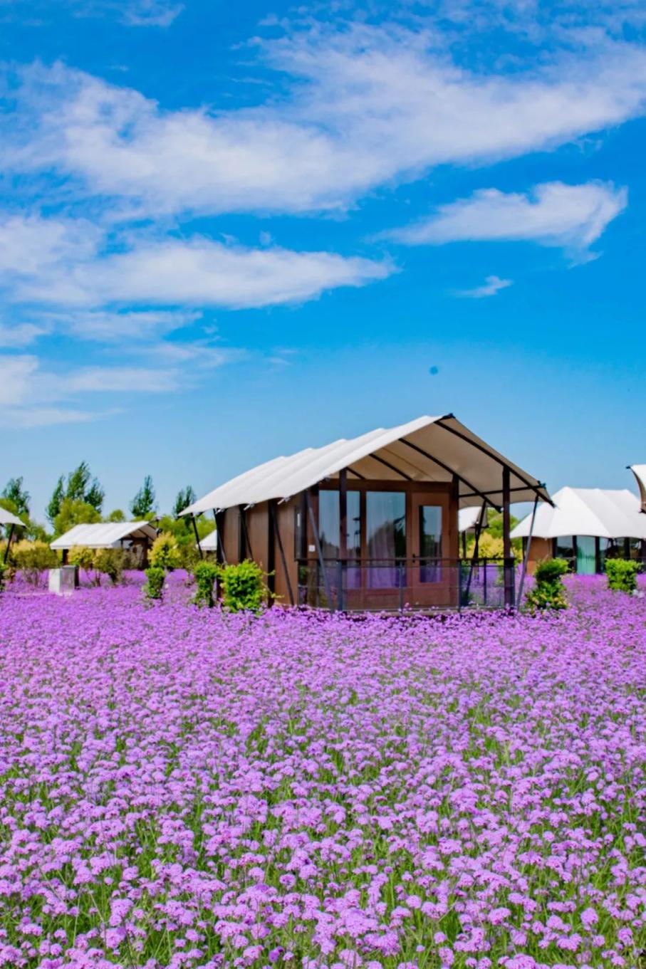 20241225103244405-80-b8db5.jpg_scale.jpg 20241225103244405-80-b8db5.jpg_scale.jpg