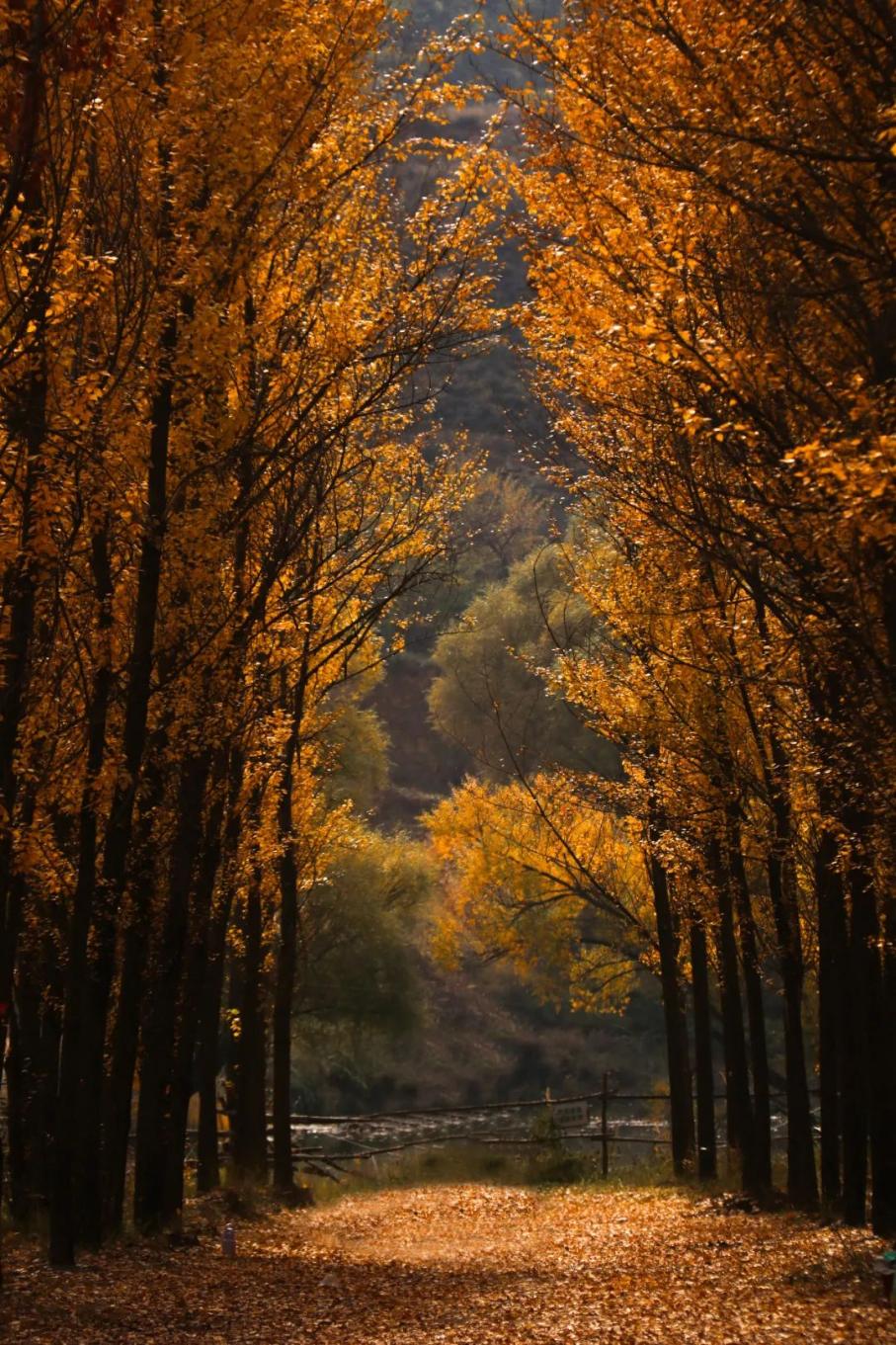 20241225103305228-99-15a5b.jpg_scale.jpg 20241225103305228-99-15a5b.jpg_scale.jpg