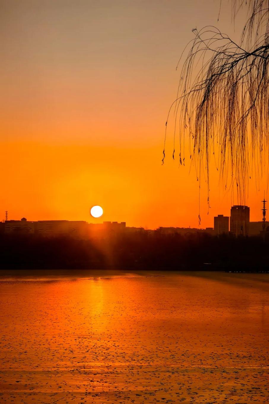 20241225103316293-50-e4a3f.jpg_scale.jpg 20241225103316293-50-e4a3f.jpg_scale.jpg