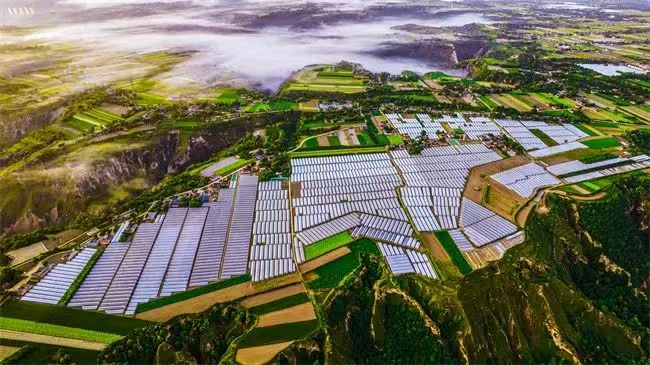 20241230153311442-69-7a058.jpg 20241230153311442-69-7a058.jpg