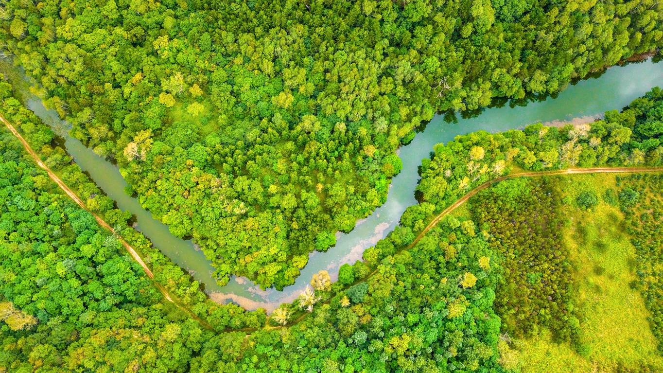 20241230153318799-43-3b584.jpg_scale.jpg 20241230153318799-43-3b584.jpg_scale.jpg