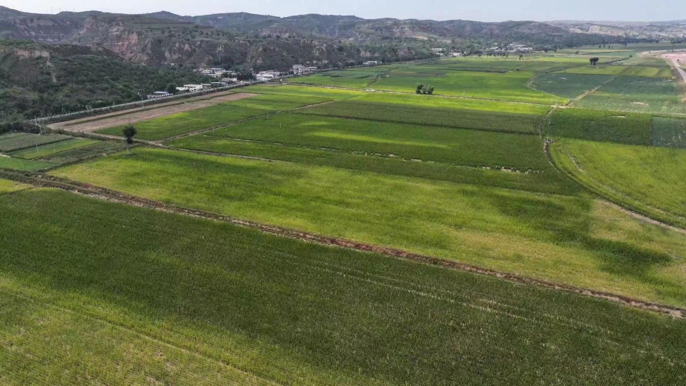 20241230155604748-64-87851.jpg_scale.jpg 20241230155604748-64-87851.jpg_scale.jpg