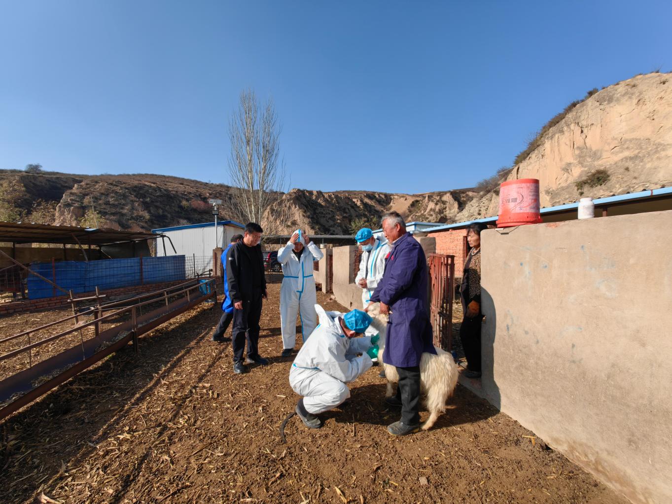 20250107144538909-75-56afb.jpg_scale.jpg 20250107144538909-75-56afb.jpg_scale.jpg