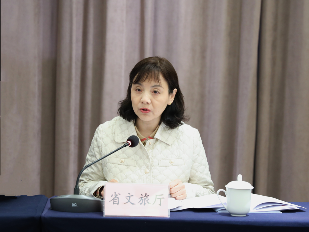 省文旅厅在省联席会议上作交流发言_副本.png