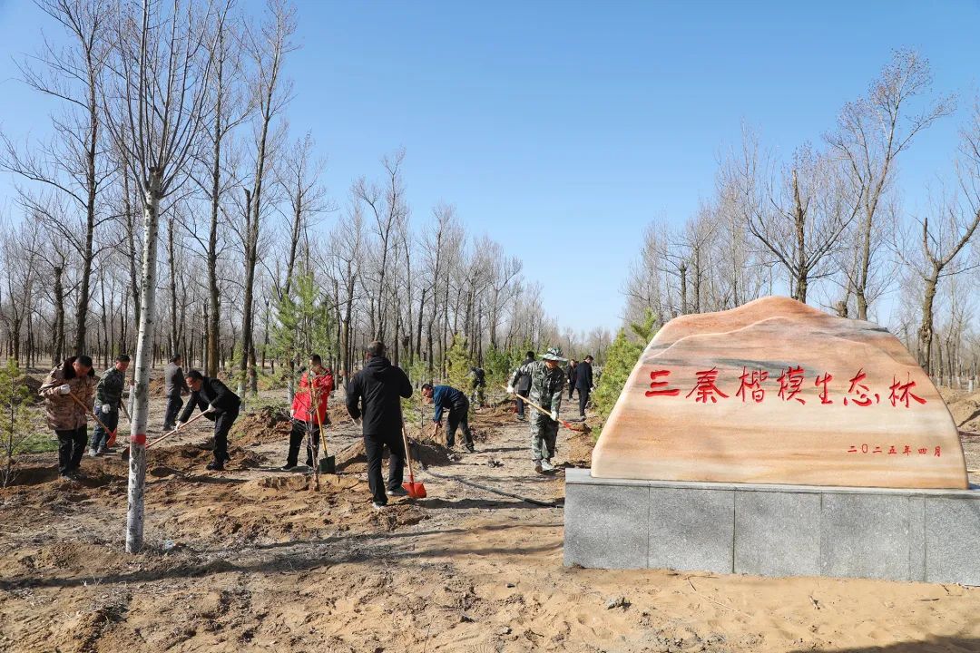 补浪河乡：学习“三秦楷模”精神 植树添绿护家园 (2).jpg