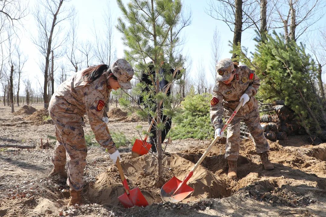 补浪河乡：学习“三秦楷模”精神 植树添绿护家园 (1).jpg
