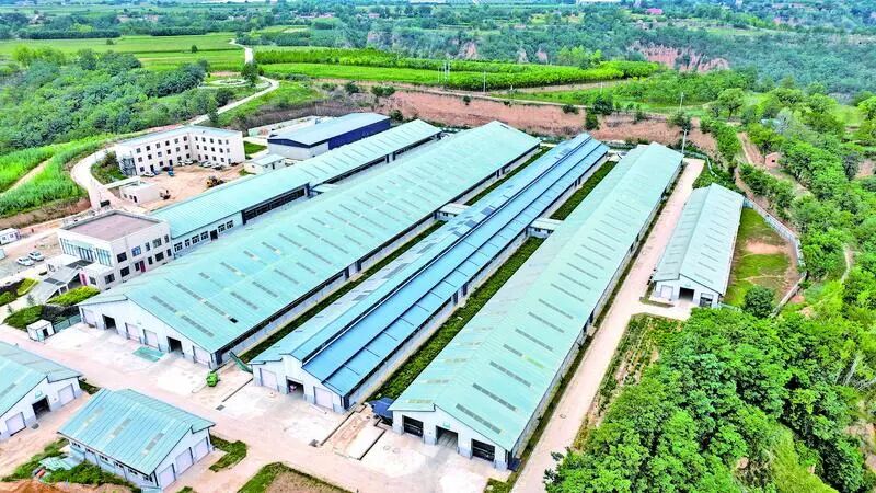 合水县奶羊良种繁育中心俯瞰。 图片