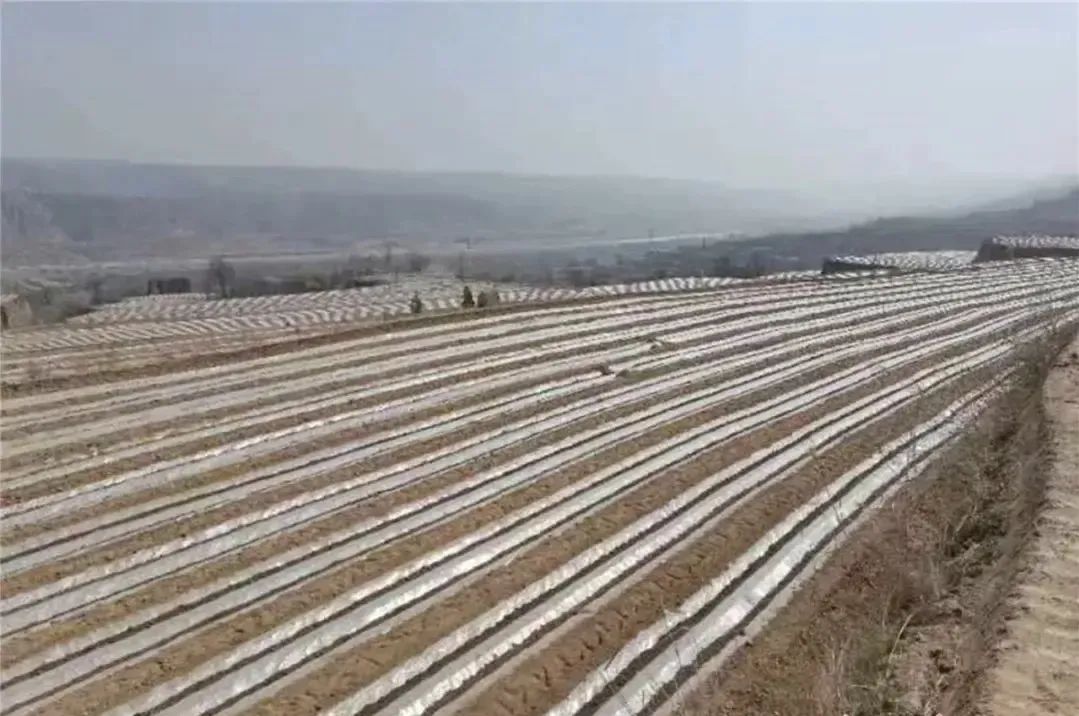 1756199195366099803.jpg 847de952444122ae8b68a367d4ffb702.jpg