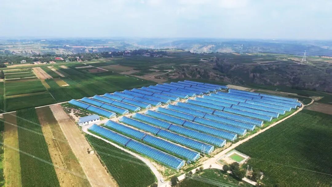 甘肃清优源农业发展有限公司 图片