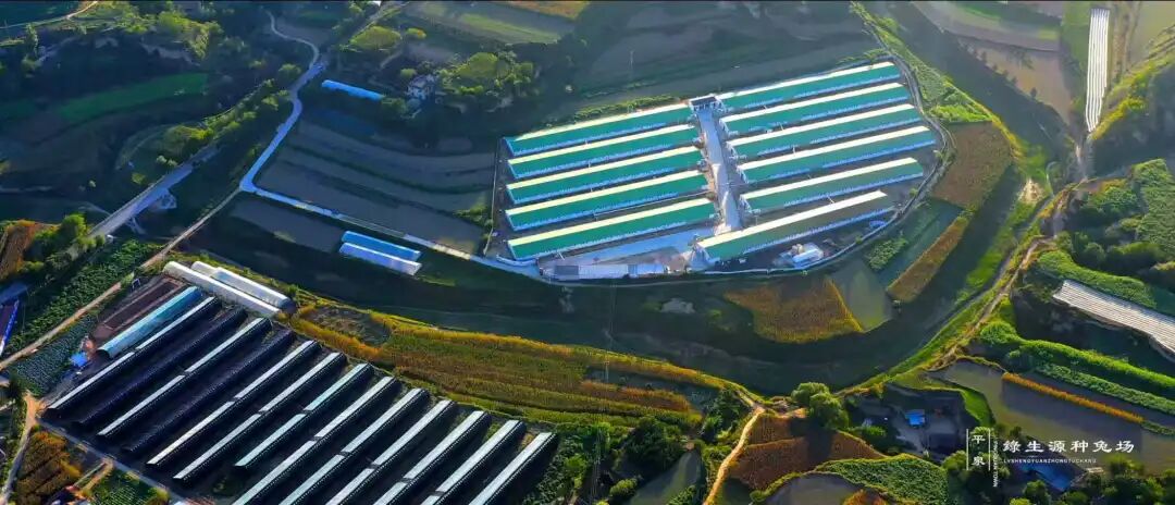 1758591755588066072.jpg 3729dc887311d35037a7914f438c1a43.jpg