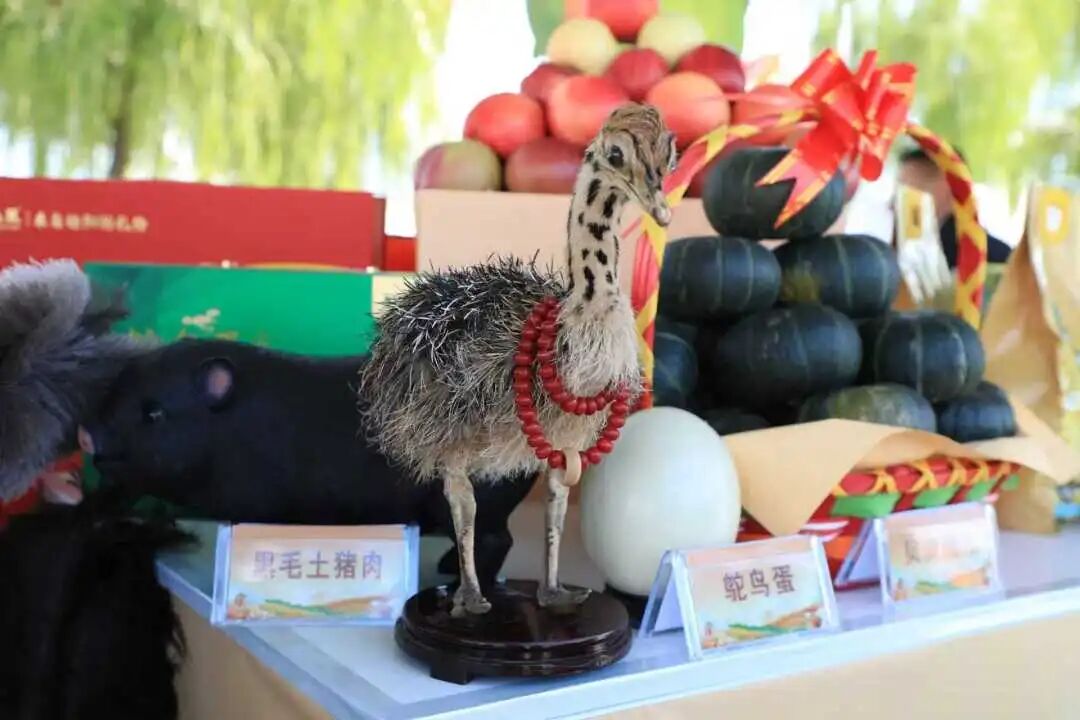 微信图片_20250923200704_30_282.jpg 微信图片_20250923200704_30_282.jpg