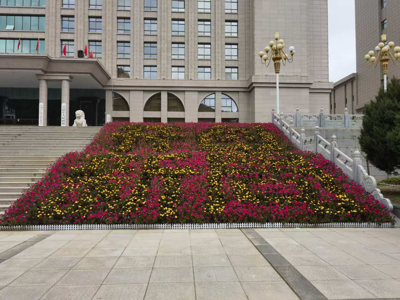 20251005183358684-39-2d3a2.png_scale.png 20251005183358684-39-2d3a2.png_scale.png