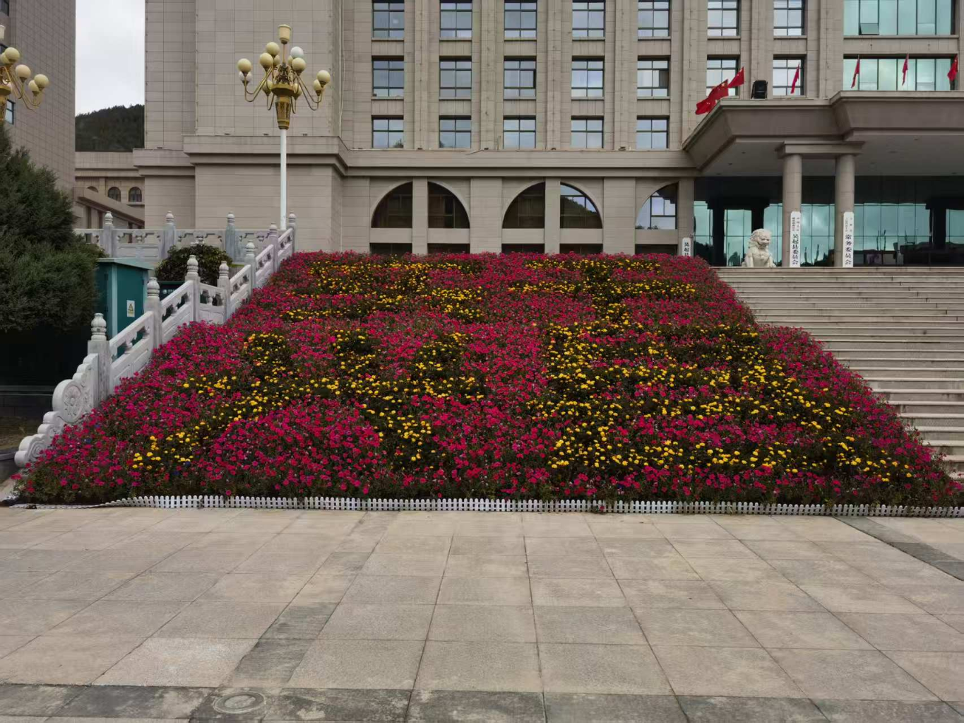 20251005183358684-67-7b39f.png_scale.png 20251005183358684-67-7b39f.png_scale.png