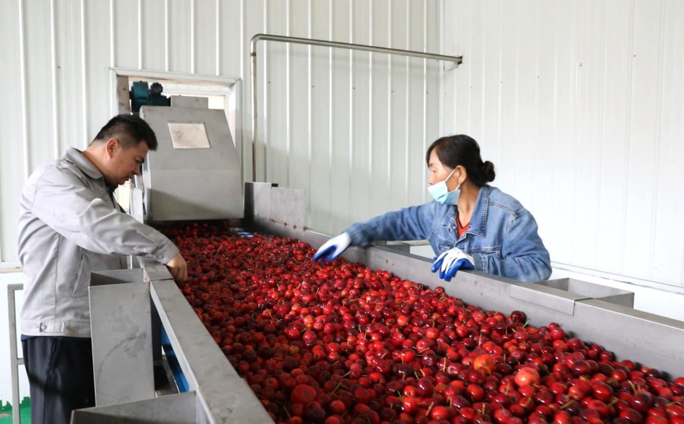 20251010115553064-80-51de8.jpg_scale.jpg 20251010115553064-80-51de8.jpg_scale.jpg