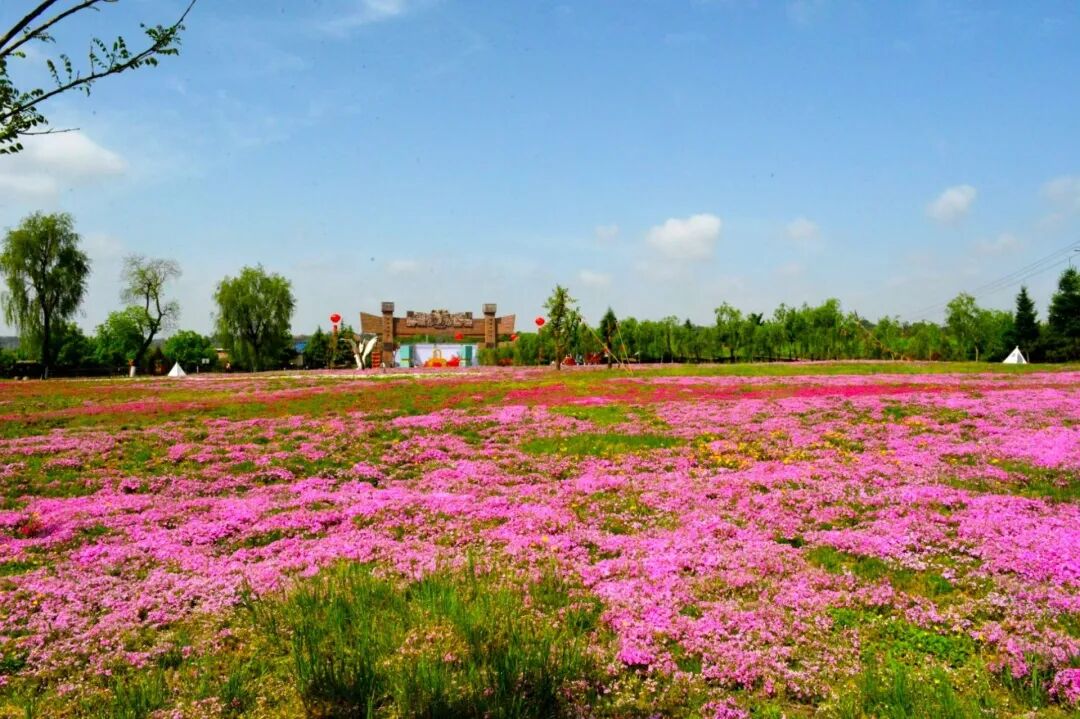 2e19dafc14edefcc14a019625986a65a 图片