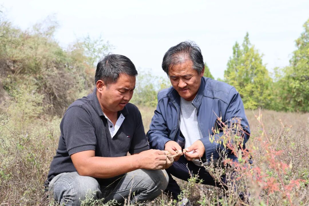 20251014112056730-62-c3e76.jpg 20251014112056730-62-c3e76.jpg