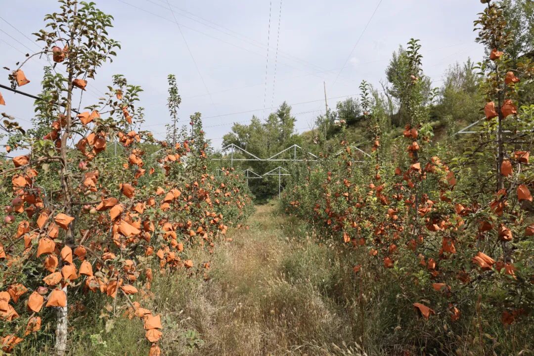 20251014112056735-42-ca979.jpg 20251014112056735-42-ca979.jpg