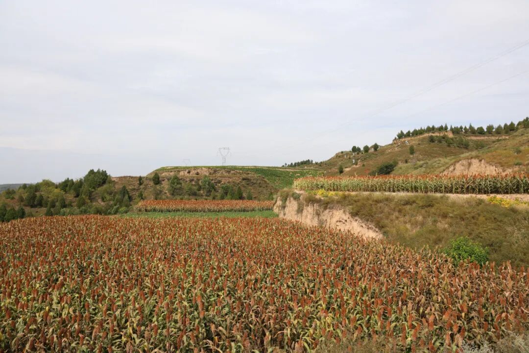 20251014112056735-85-b16cc.jpg 20251014112056735-85-b16cc.jpg