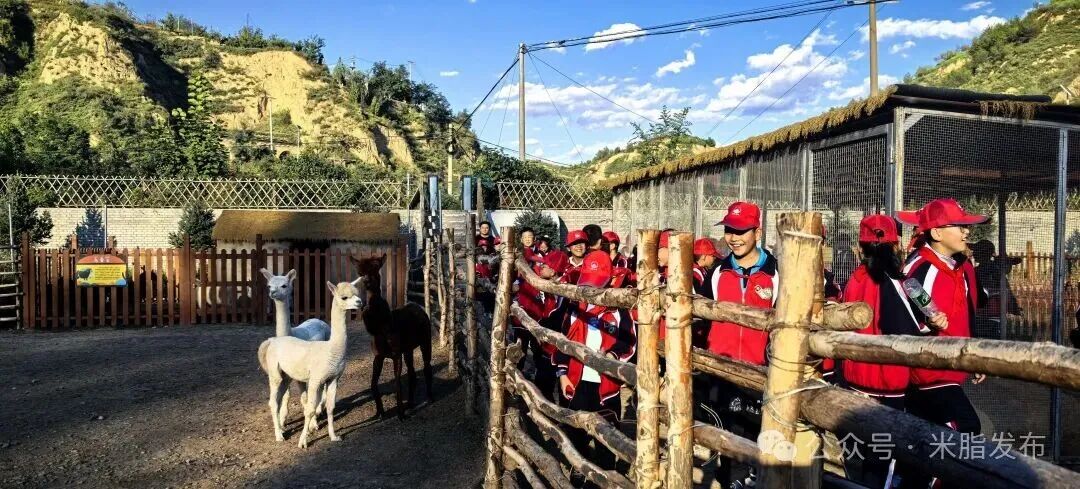 20251014192355261-91-021c3.jpg 20251014192355261-91-021c3.jpg