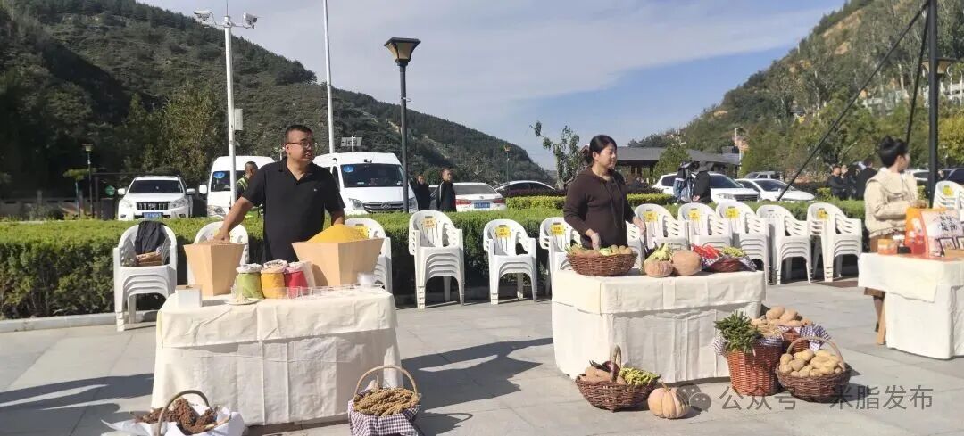 20251014192402399-5-41840.jpg 20251014192402399-5-41840.jpg