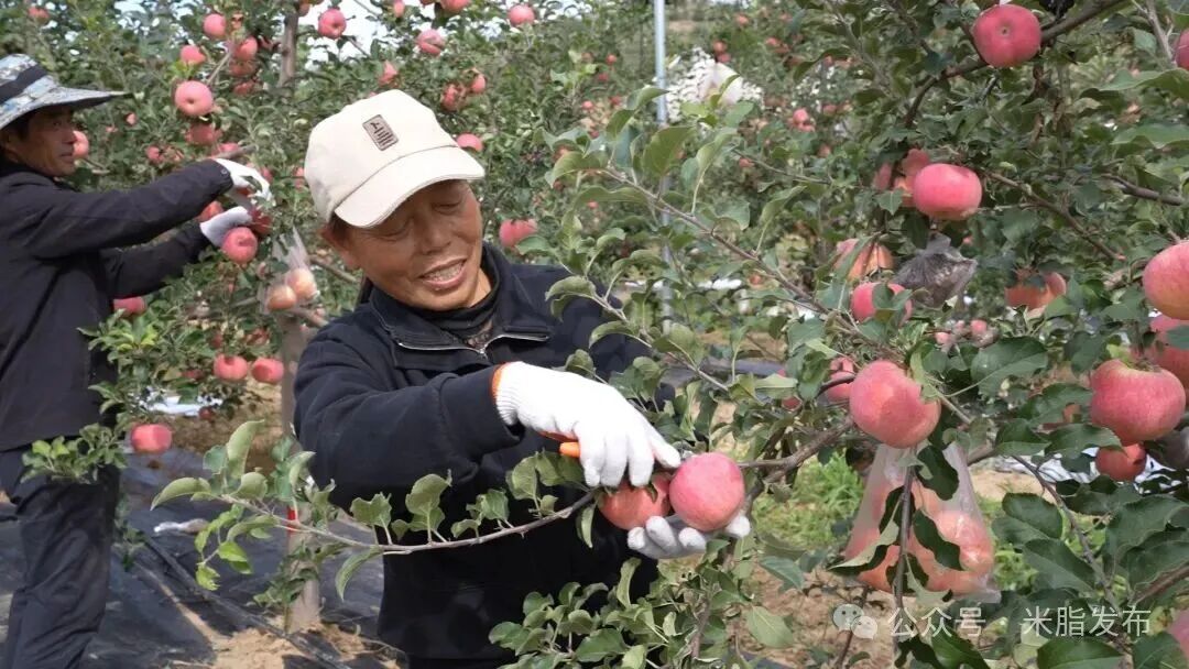 20251014192402462-23-ee624.jpg 20251014192402462-23-ee624.jpg