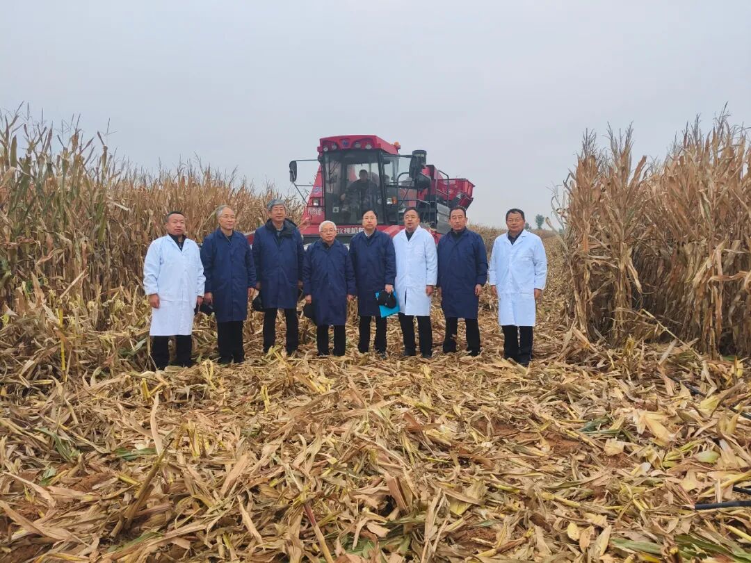 20251022092315798-28-6430f.jpg 20251022092315798-28-6430f.jpg