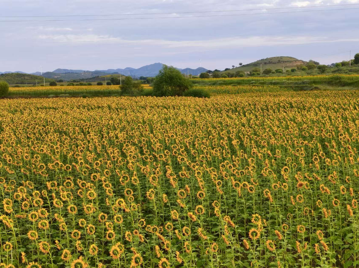 20251103110540830-25-8fb58.png 20251103110540830-25-8fb58.png