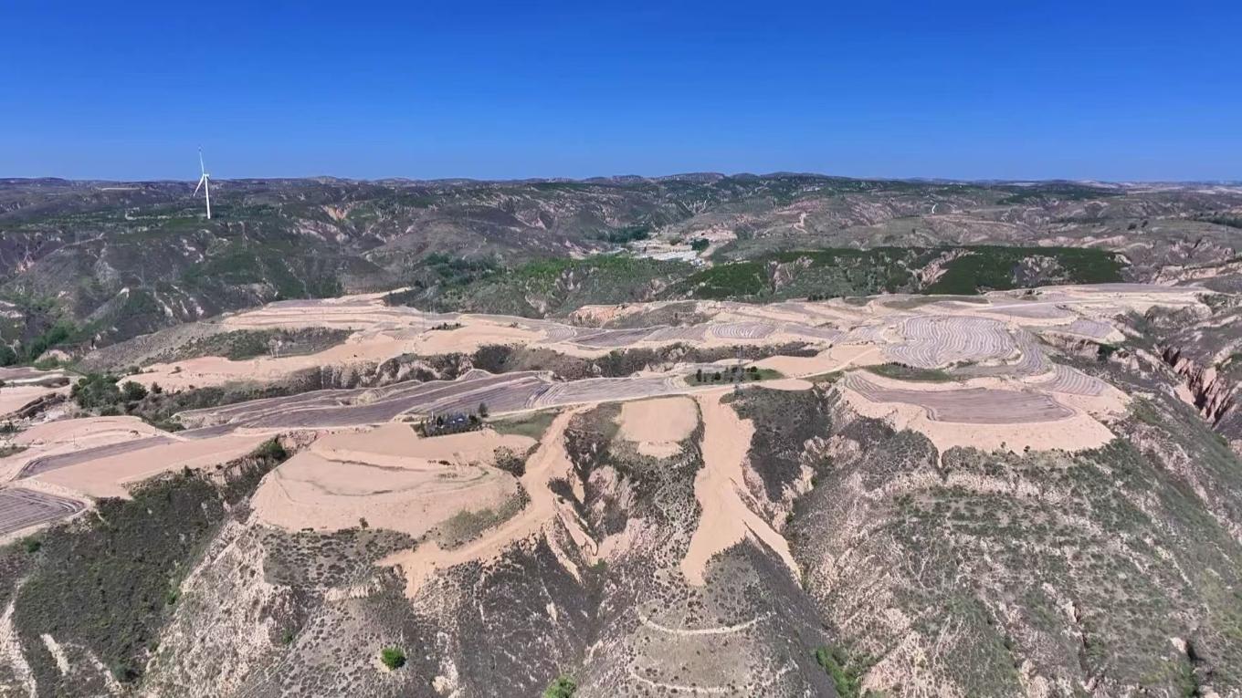 20251107112649134-69-a5647.jpg_scale.jpg 20251107112649134-69-a5647.jpg_scale.jpg