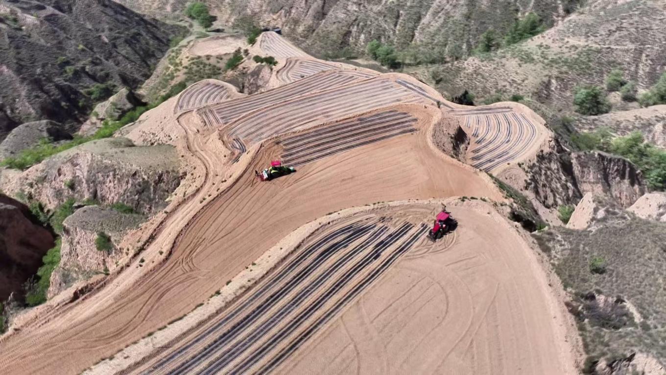 20251107112649135-85-486a0.jpg_scale.jpg 20251107112649135-85-486a0.jpg_scale.jpg