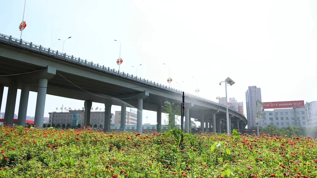 20251209102741669-83-f6b82.png 20251209102741669-83-f6b82.png