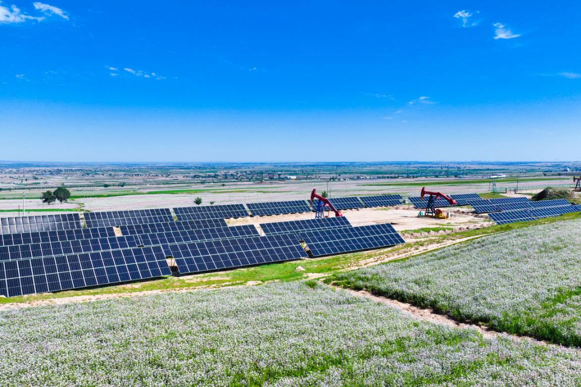 20251211165946725-10-53026.jpeg 20251211165946725-10-53026.jpeg