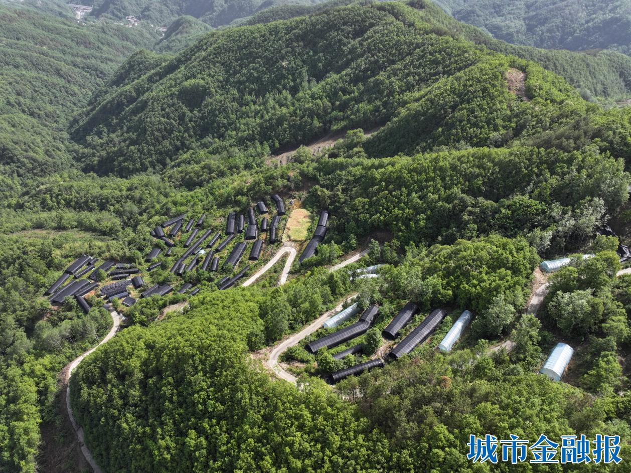 20260120184402953-70-8b245.jpeg 20260120184402953-70-8b245.jpeg