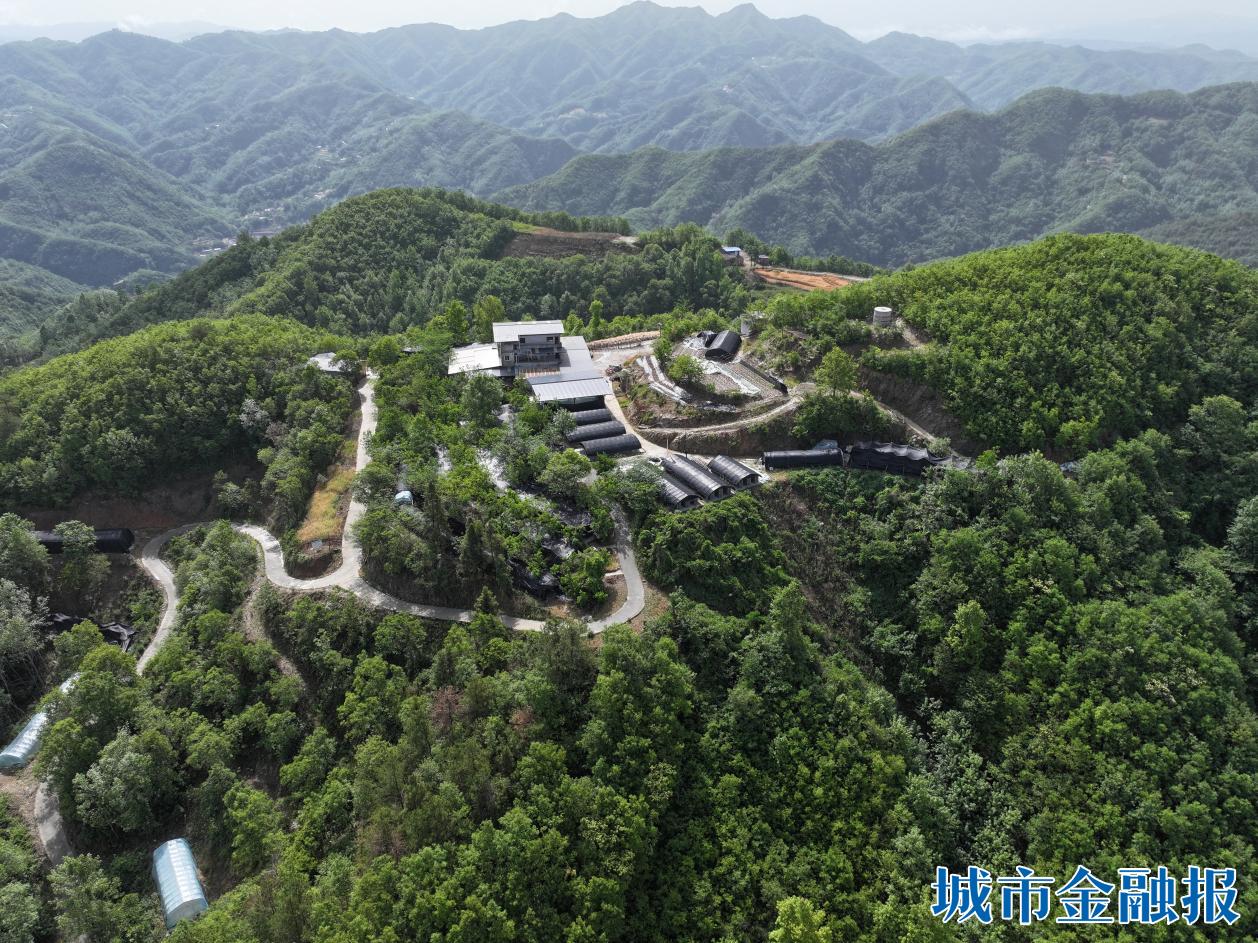 20260120184403227-74-fe7b9.jpeg 20260120184403227-74-fe7b9.jpeg