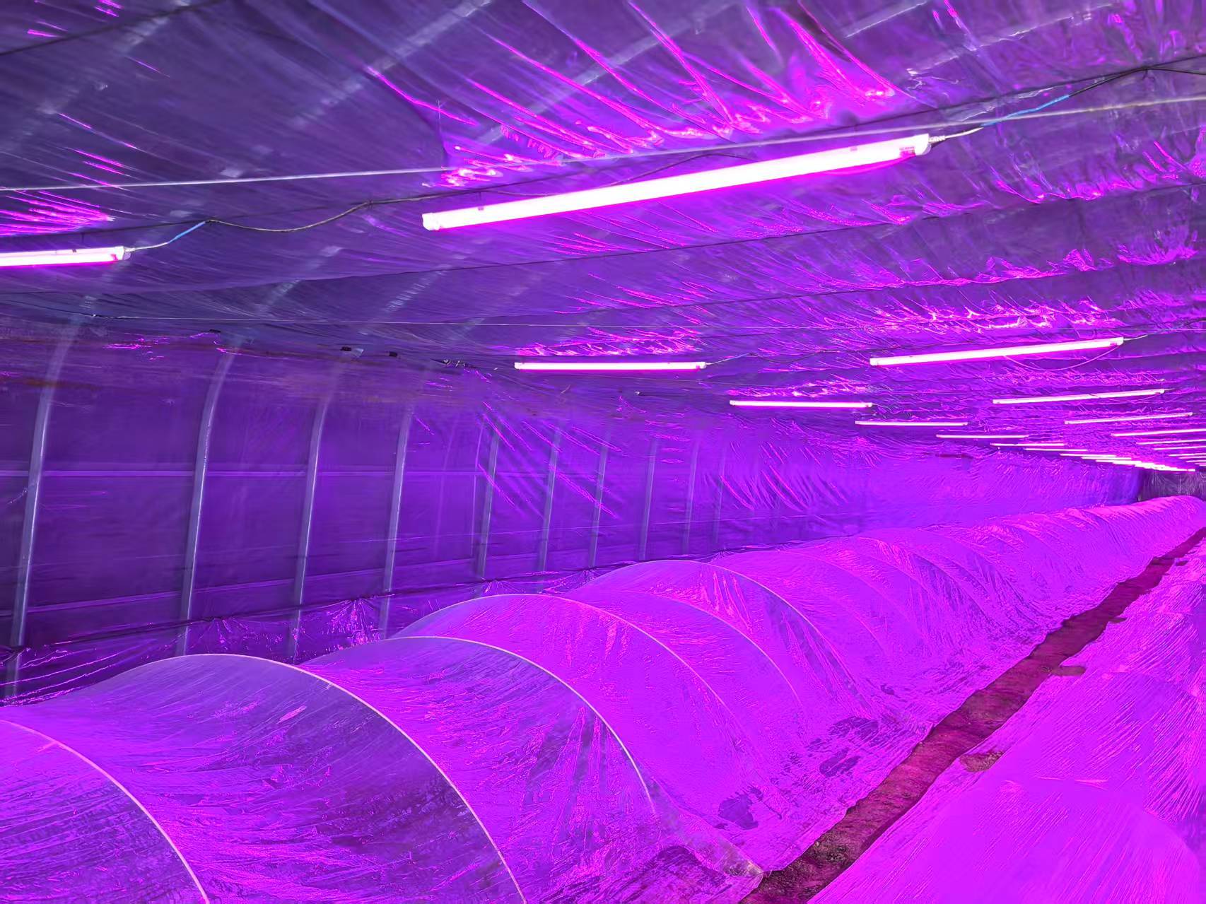 多重设施助力农业生产