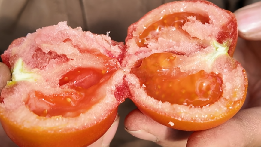 美味可口的“草莓西红柿”