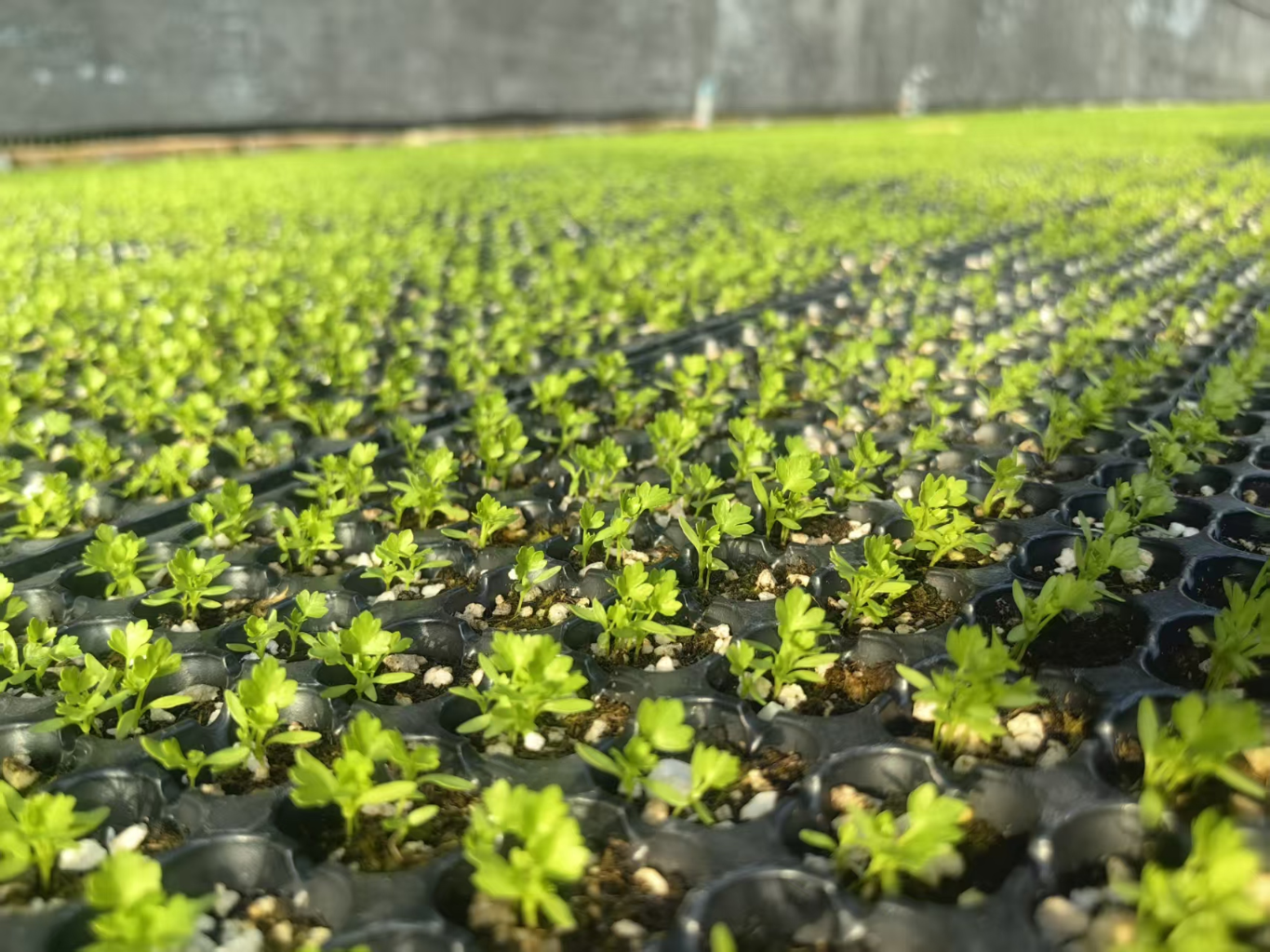 20260310163940106-27-af69b.png_scale.png 20260310163940106-27-af69b.png_scale.png