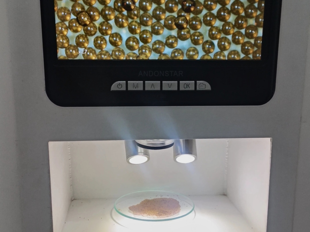 20260325104426687-8-6068e.png 20260325104426687-8-6068e.png